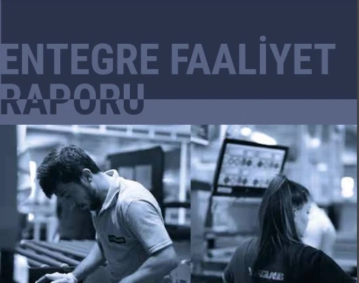 Integrated Reports